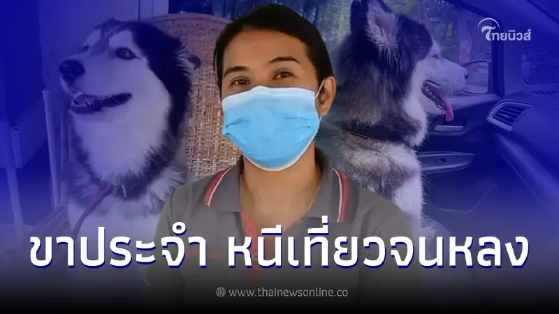 "เจ้าของหมูปิ้ง" เปิดใจเล่าวีรกรรม หลังหนีเที่ยว 3 วัน พลเมืองดีพาส่งบ้าน "เจ้าของหมูปิ้ง" เปิดใจเล่าวีรกรรม หลังหนีเที่ยว 3 วัน พลเมืองดีพาส่งบ้าน