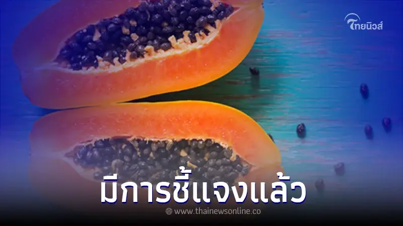 เคี้ยวเม็ดมะละกอสุก วันละ 3 เม็ด รักษามะเร็งได้ จริงหรือไม่!? เคี้ยวเม็ดมะละกอสุก วันละ 3 เม็ด รักษามะเร็งได้ จริงหรือไม่!?