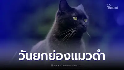 17 สิงหาคม วันยกย่องแมวดำ (Black Cat Appreciation Day)