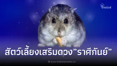 สัตว์เลี้ยงเสริมดวง! ของชาว "ราศีกันย์"