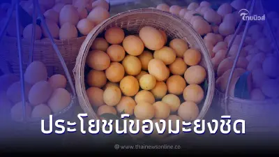 มะยงชิด ผลไม้ที่อุดมไปด้วยคุณค่าและสรรพคุณล้นเหลือ
