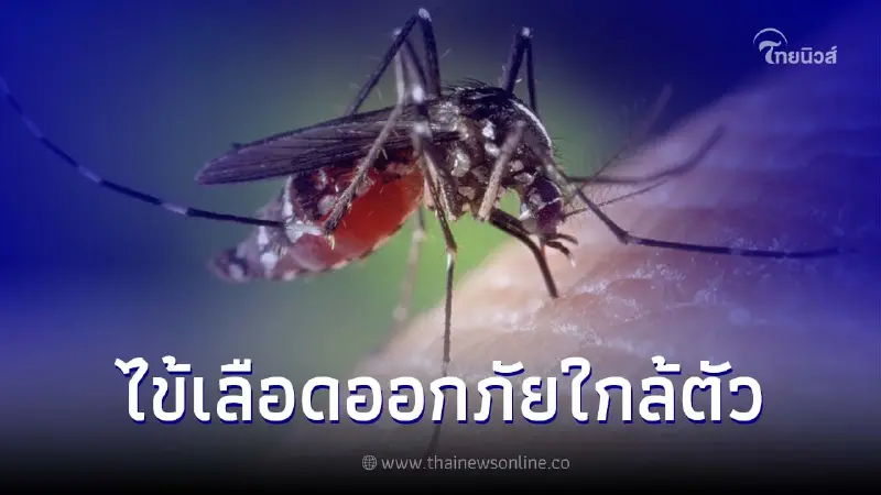 สถานการณ์โรคไข้เลือดออก อันตรายจากยุงลาย
