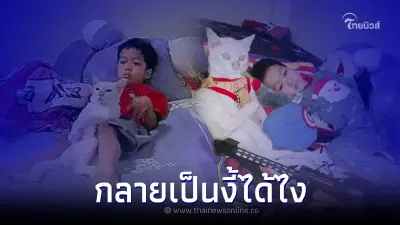 แม่หวังดัดนิสัยลูกติดทีวี หาแมวมาอยู่เป็นเพื่อน สุดท้ายไม่รู้พลาดตรงไหน
