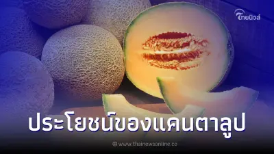 สรรพคุณของแคนตาลูปที่มีประโยชน์ต่อสุขภาพ