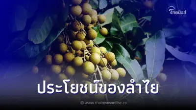 ประโยชน์ของลำไย ผลไม้ที่มีรสชาติหวาน เนื้อฉ่ำๆ