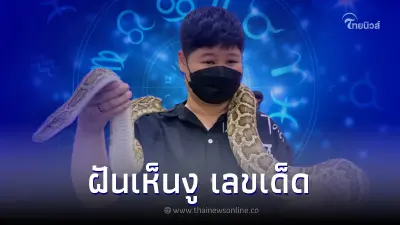ฝันเห็นงู ฝันว่าเห็นงู ฝันว่าตีงู หมายความว่าอะไร พร้อมเลขเด็ด
