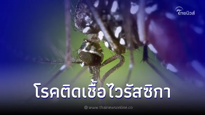 เตือนระวังป่วยโรคติดเชื้อไวรัสซิกากับโรคโควิด19 เตือนระวังป่วยโรคติดเชื้อไวรัสซิกากับโรคโควิด19