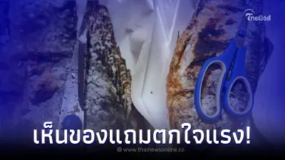 ลูกค้ารีวิว "สั่งปลาเผากินมื้อเย็น" เปิดมาตกใจเจอของแถม ลูกค้ารีวิว "สั่งปลาเผากินมื้อเย็น" เปิดมาตกใจเจอของแถม