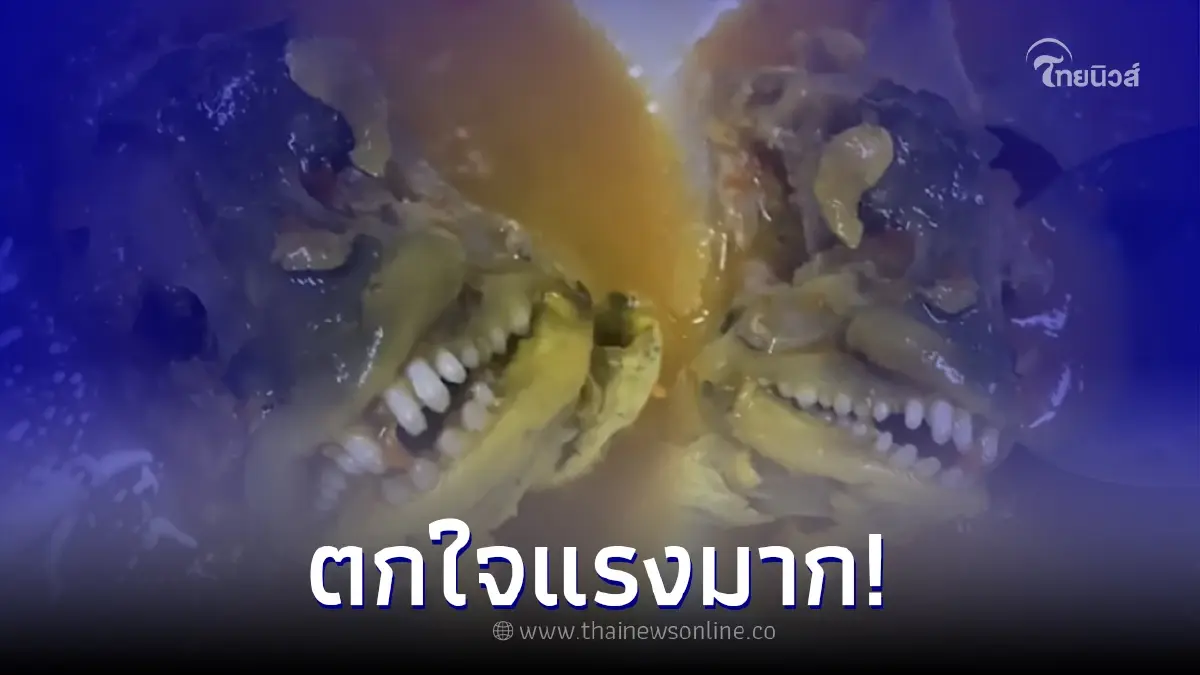 หลานชายหลอน หลังกินแกงไตปลาฝีมือคุณย่า เห็นหัวปลายิ้มโชว์ฟันขาว