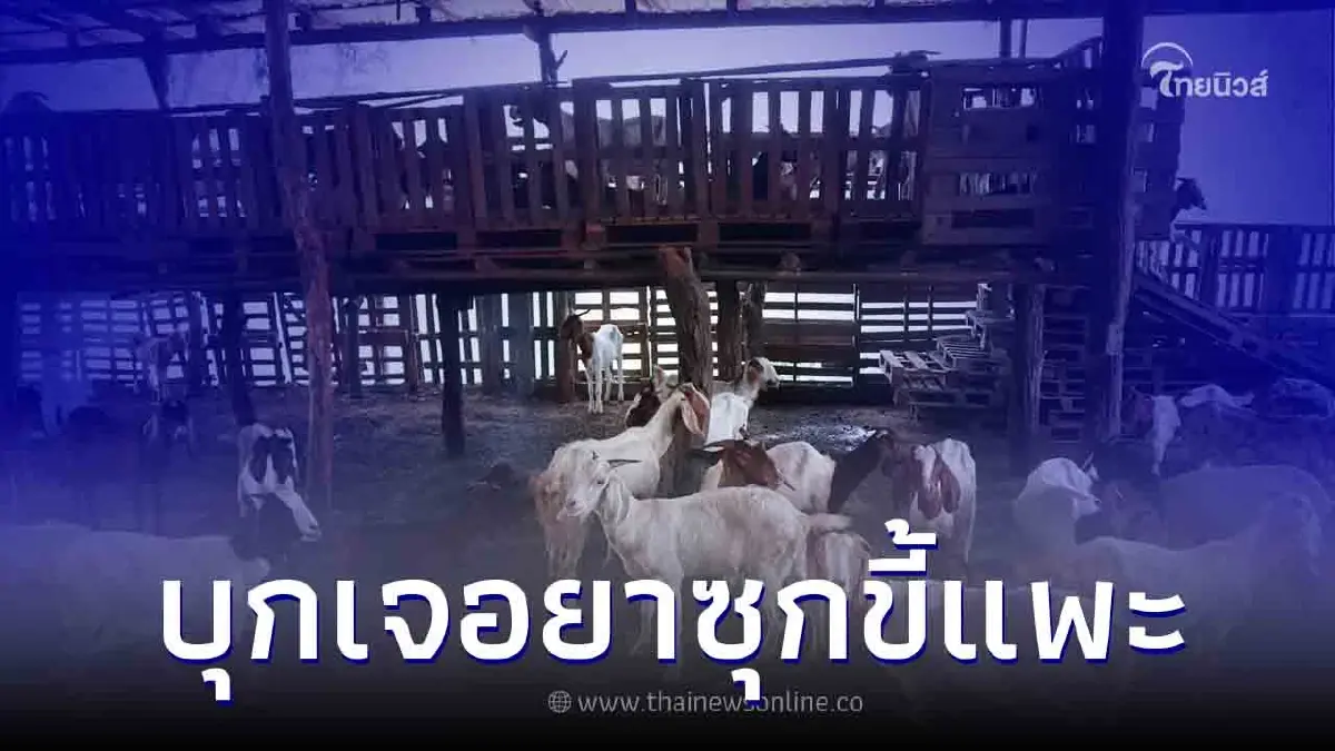ลุยค้นบ้าน "แดง ห้วยกรด" พบยาซุกขี้แพะกว่า 2,000 เม็ด ยึดทรัพย์ได้ 5 ล้าน ลุยค้นบ้าน "แดง ห้วยกรด" พบยาซุกขี้แพะกว่า 2,000 เม็ด ยึดทรัพย์ได้ 5 ล้าน
