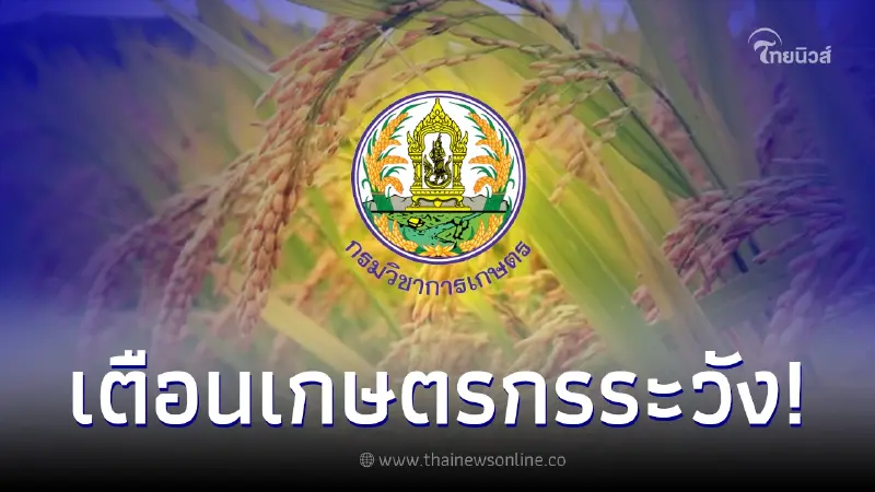 กรมวิชาการเกษตร เตือนระวัง โรค-หนอนแมลง ในช่วงมีฝนตก กรมวิชาการเกษตร เตือนระวัง โรค-หนอนแมลง ในช่วงมีฝนตก