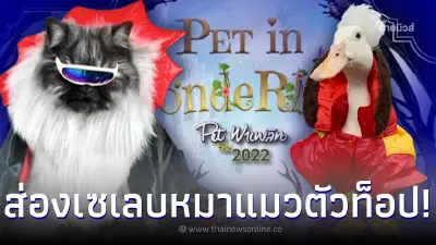 ทาสห้ามพลาด ส่องหมาแมวเซเลบ งาน Pet พาเพลิน Fair 2022 มหกรรมคนรักสัตว์แห่งปี 