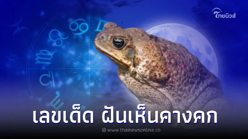 ฝันเห็นคางคก ฝันว่าเห็นคางคก พร้อมเลขเด็ด ฝันเห็นคางคก ฝันว่าเห็นคางคก พร้อมเลขเด็ด