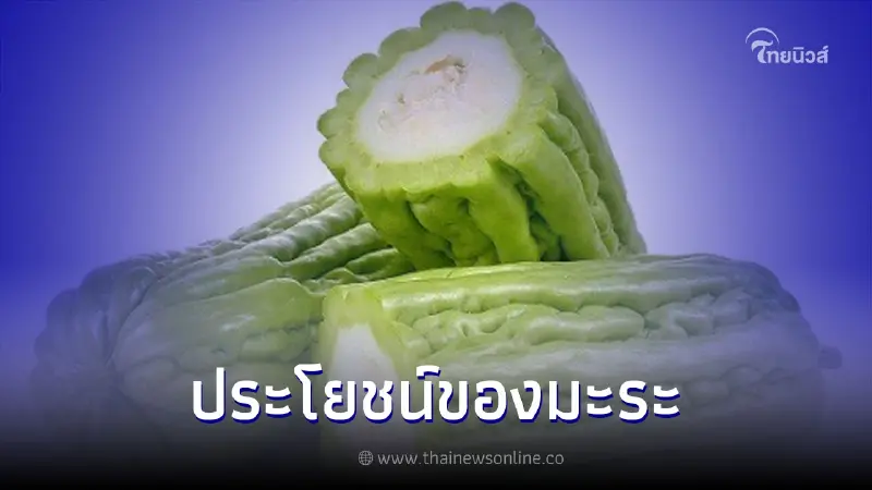 ประโยชน์ของมะระ ผักรสขมที่มีประโยชน์ต่อร่างกาย ประโยชน์ของมะระ ผักรสขมที่มีประโยชน์ต่อร่างกาย