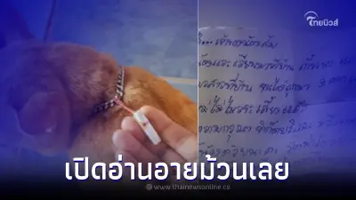 เจ้าของงานเข้า "แมวส้ม" ทำงามหน้า จนเพื่อนบ้านต้องเขียนแฉ อายแทบมุดแผ่นดิน