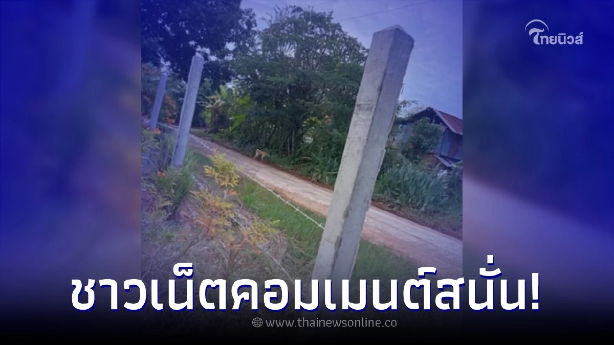 เจ้าของบ้านสงสัย รั้วลวดหนามแบบง่ายๆ ช่างคิดต้นละ 100 แพงเกินไปไหม เจ้าของบ้านสงสัย รั้วลวดหนามแบบง่ายๆ ช่างคิดต้นละ 100 แพงเกินไปไหม