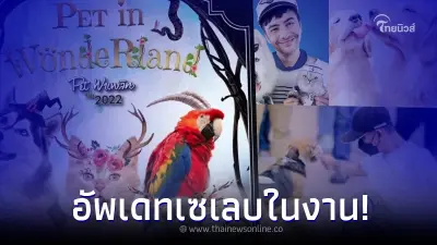 มาแบบเต็มๆ ชุดใหญ่ Celebrities - Pet idol ในงาน Pet พาเพลิน Fair 2022