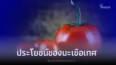 คุณประโยชน์ดีๆของ"มะเขือเทศ" ที่ดีต่อสุขภาพ คุณประโยชน์ดีๆของ"มะเขือเทศ" ที่ดีต่อสุขภาพ