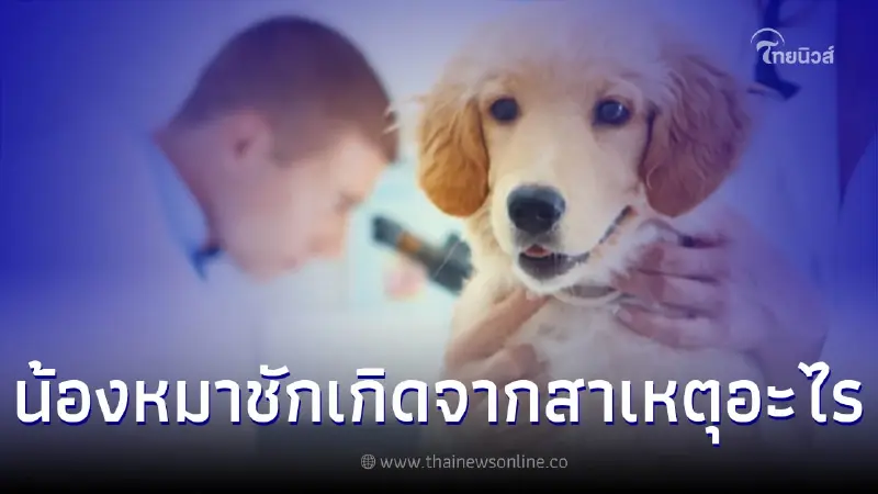 "น้องหมาชัก" เกิดจากสาเหตุอะไรควรช่วยเหลืออย่างไร