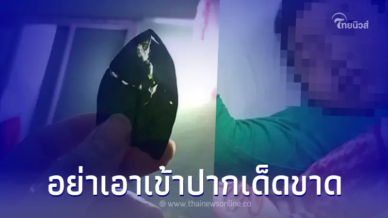 เตือนภัย เด็กหยิบใบไม้เข้าปาก เกิดอาการตัวสั่น-ชัก โชคดีส่งโรงพยาบาลทัน