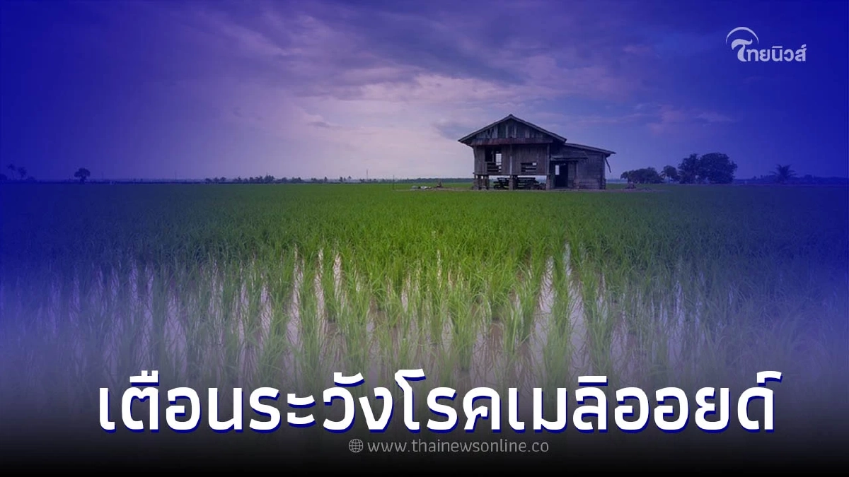 เตือนระวังโรคเมลิออยด์!! (โรคไข้ดิน) เตือนระวังโรคเมลิออยด์!! (โรคไข้ดิน)