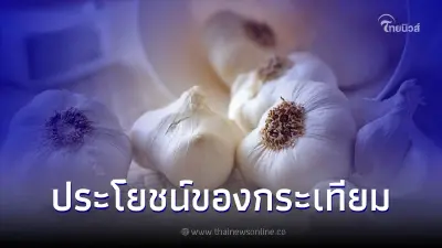 สรรพคุณของกระเทียมที่ดีต่อสุขภาพ ช่วยลดความเสี่ยงได้หลายโรค