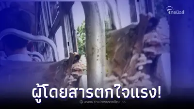 ผู้โดยสารขึ้นรถเมล์สาธารณะ สะดุดตากับเบาะโดยสาร เห็นแล้วตกใจแรง