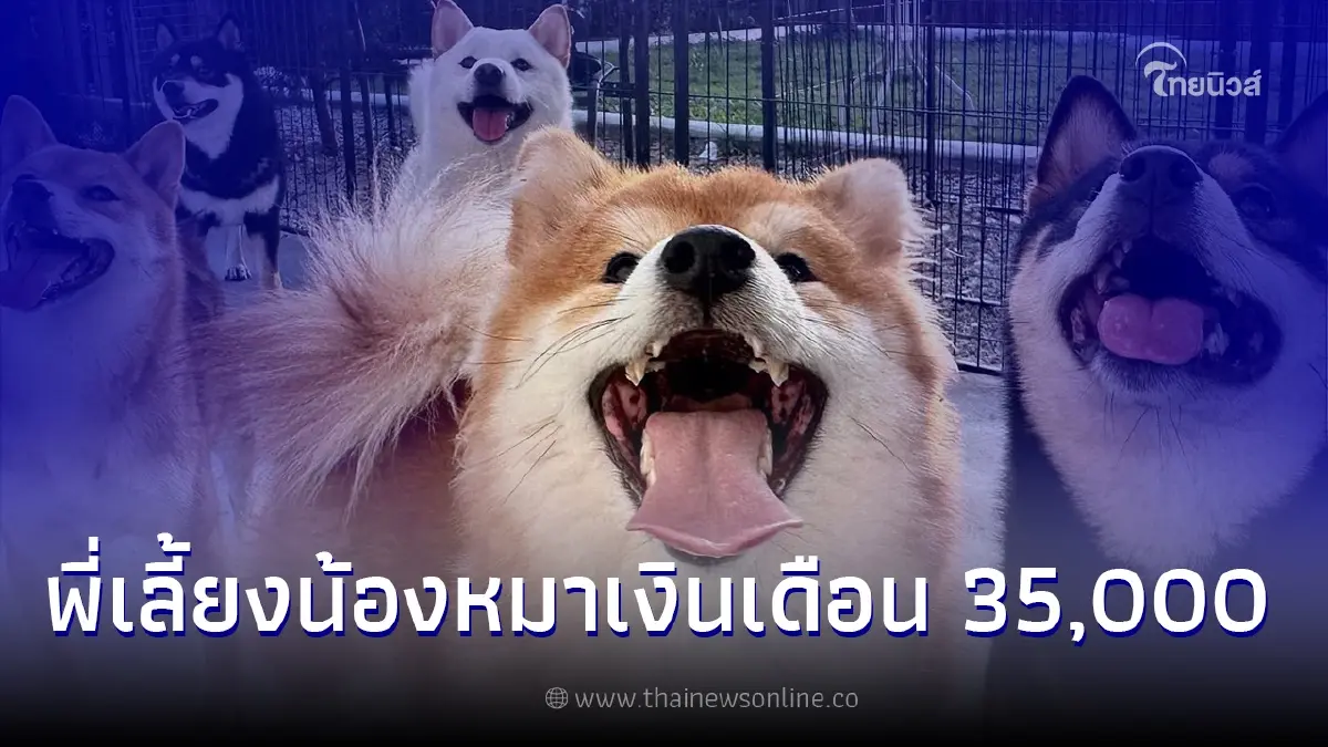 ฟาร์มชิบะ ประกาศรับสมัครพี่เลี้ยงดูแลสุนัข เงินเดือน 35,000 ที่พัก อาหารฟรี ฟาร์มชิบะ ประกาศรับสมัครพี่เลี้ยงดูแลสุนัข เงินเดือน 35,000 ที่พัก อาหารฟรี