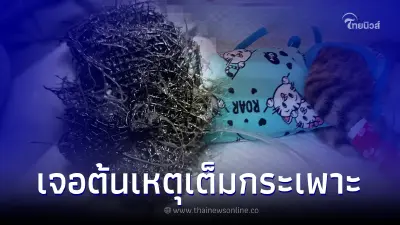 แมวกินอะไรไม่ได้ร่วมเดือน หมอ X-ray เจอต้นเหตุเต็มกระเพาะ จึงรีบผ่าตัดด่วน แมวกินอะไรไม่ได้ร่วมเดือน หมอ X-ray เจอต้นเหตุเต็มกระเพาะ จึงรีบผ่าตัดด่วน