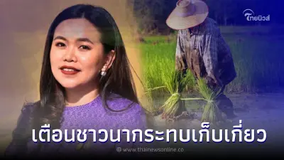 เตือนชาวนา ฝนตกหนัก! อาจกระทบเก็บเกี่ยว แนะหาวิธีป้องกัน-ดูแลคุณภาพข้าว