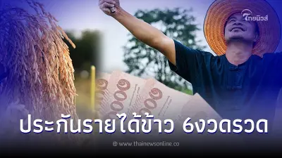 เงินประกันรายได้ข้าว 65/66 สถานะโอนเงินล่าสุด เงินช่วยเหลือชาวนาไร่ละ 1000