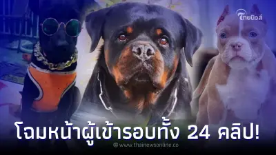 โฉมหน้า ผู้เข้ารอบทั้ง 24 คลิป "Pet พาเพลิน Funny Clip" งาน Pet พาเพลิน Fair 2022 โฉมหน้า ผู้เข้ารอบทั้ง 24 คลิป "Pet พาเพลิน Funny Clip" งาน Pet พาเพลิน Fair 2022