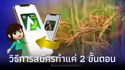 ธ.ก.ส. แอปฯ A-Mobile Plus เช็กเงินประกันรายได้ข้าว ไร่ละ 1,000 ได้ตลอด 24 ชม.