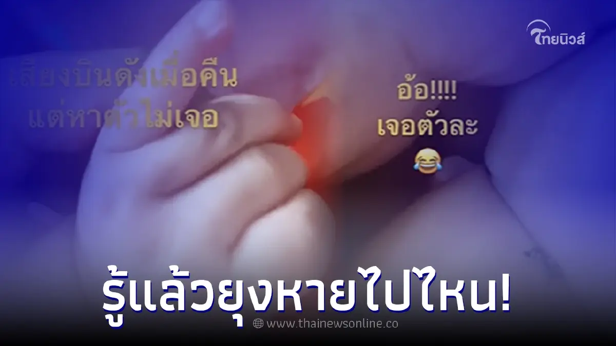 แม่ได้ยินเสียงยุงบินทั้งคืน แต่หายังไงก็ไม่เจอ จนมาดูตามตัวลูก แม่ได้ยินเสียงยุงบินทั้งคืน แต่หายังไงก็ไม่เจอ จนมาดูตามตัวลูก