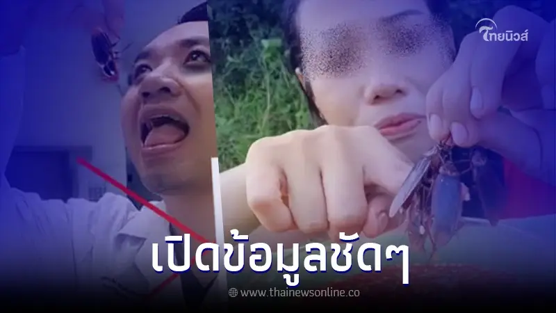 หมอแล็บแพนด้า เตือนคนทำคอนเทนต์ "กินแมลงสาบ" เชื้อโรคเพียบ หมอแล็บแพนด้า เตือนคนทำคอนเทนต์ "กินแมลงสาบ" เชื้อโรคเพียบ