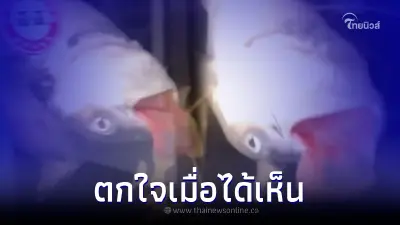 หนุ่มตกใจแรง ยุ่งงาน จนลืมให้อาหารฉลาม ก่อนกลายเป็นภาพติดตาอยู่คาตู้