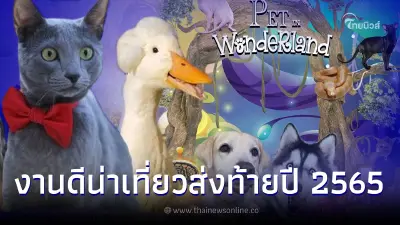 งานน่าเที่ยวปลายปี Pet พาเพลิน Fair 2022 ขนทัพสัตว์สุดคิ้วท์ เอาใจคนรักสัตว์