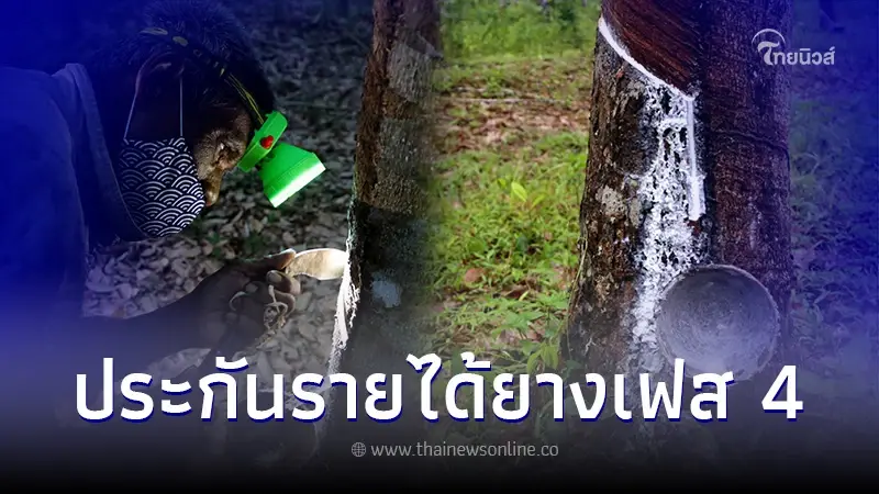 ประกันรายได้ยางเฟส4 ล่าสุดวันนี้ ตรวจสอบสถานะโอนเงิน chongkho.inbaac.com ประกันรายได้ยางเฟส4 ล่าสุดวันนี้ ตรวจสอบสถานะโอนเงิน chongkho.inbaac.com