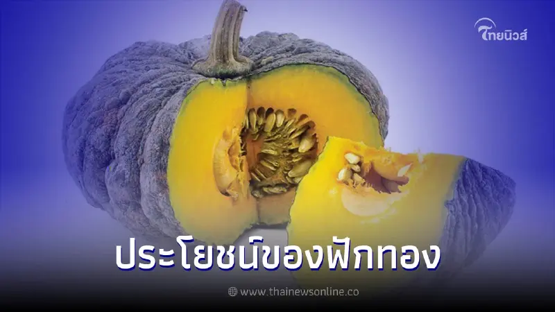"ฟักทอง" สรรพคุณและประโยชน์ที่ดีต่อสุขภาพ "ฟักทอง" สรรพคุณและประโยชน์ที่ดีต่อสุขภาพ
