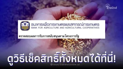 เช็คเงินเยียวยาเกษตรกร เช็คเงินช่วยเหลือชาวนา เช็คเงินประกันรายได้ข้าว