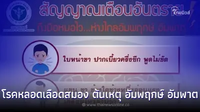 โรคหลอดเลือดสมอง ต้นเหตุ อัมพฤกษ์ อัมพาต