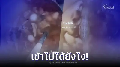 หนุ่มอ้วกแทบพุ่ง กินกระเพาะปลา หมดครึ่งถ้วย เห็นวัตถุดิบแปลก ๆ อยู่ก้นหม้อ