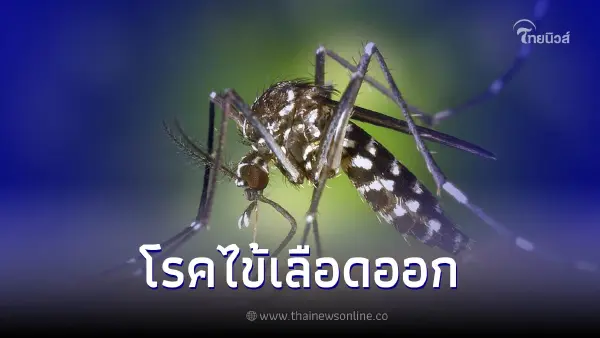 สาเหตุของโรคไข้เลือดออกภัยอันตรายต่อสุขภาพ สาเหตุของโรคไข้เลือดออกภัยอันตรายต่อสุขภาพ