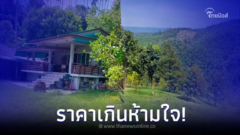 หนุ่มประกาศขายที่ดินพร้อมบ้าน 90 ไร่ สวนยางพารา-ทุเรียน เห็นราคาถึงกับตกใจ
