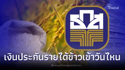 เงินประกันรายได้ข้าว ตรวจสอบยอดเงินโอนง่ายๆ 3 ขั้นตอน เช็กเข้าบัญชีวันไหน