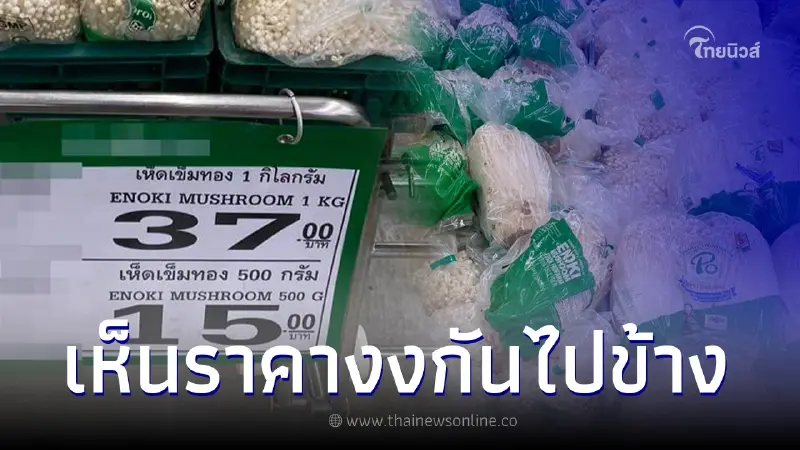 ลูกค้าสงสัย เห็ดเข็มทองในห้างดัง ราคา 1 กก. ทำไมแพงกว่าซื้อครึ่งกิโลสองถุง ลูกค้าสงสัย เห็ดเข็มทองในห้างดัง ราคา 1 กก. ทำไมแพงกว่าซื้อครึ่งกิโลสองถุง