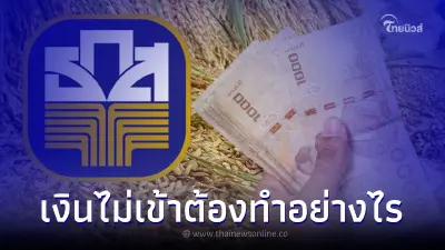 เงิน "ประกันรายได้ข้าว ปี 65" โอนเข้าวันแรก ใครเงินไม่เข้า ทำอย่างไร เช็ค