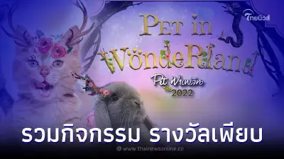 ส่องกิจกรรมงาน Pet พาเพลิน Fair 2022 เพลิดเพลินในโลกมหัศจรรย์ของสัตว์เลี้ยง
