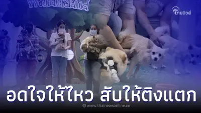 เชียร์กันกระหึ่ม ประมวลภาพน้องๆในเกมการแข่งขันงาน Pet พาเพลิน Fair 2022