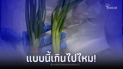 ลูกค้าซื้อต้นหอมผ่านแอปฯ เห็นราคากับของที่ได้ว่าแพงแล้ว งงใจมัดยางมาทำไม ลูกค้าซื้อต้นหอมผ่านแอปฯ เห็นราคากับของที่ได้ว่าแพงแล้ว งงใจมัดยางมาทำไม